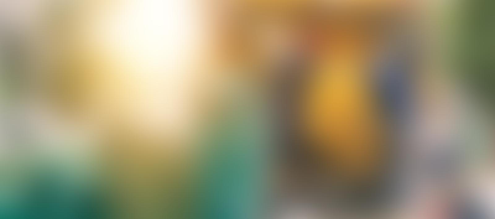 About Houston Junk Remover